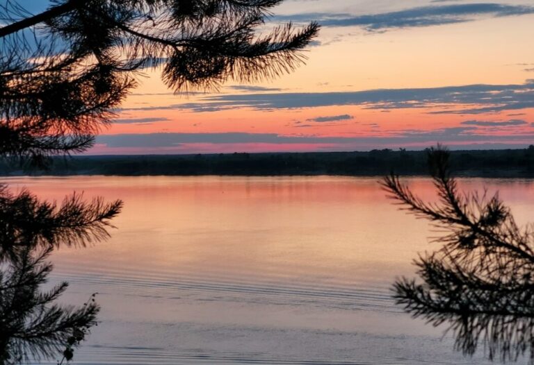 Речные прогулки по Северной Двине из Архангельска 2026: Расписание и цены на теплоход